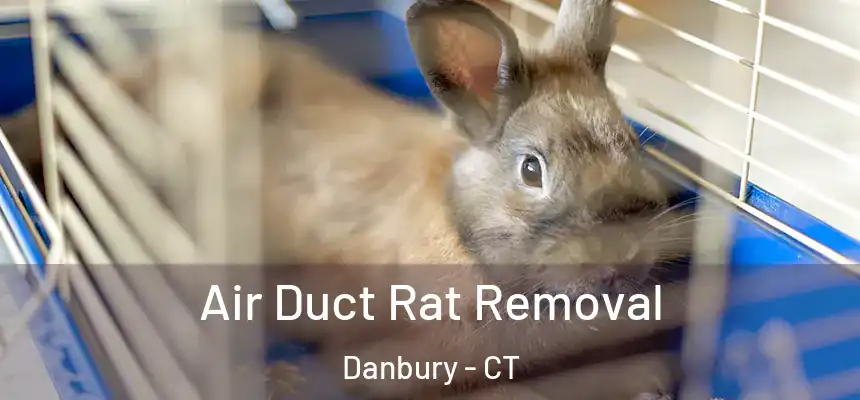Air Duct Rat Removal Danbury - CT