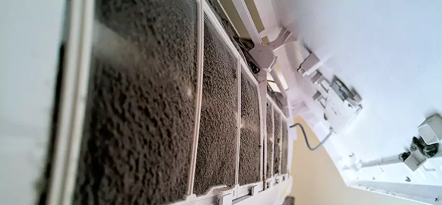 Preventive Air Duct Bacteria Removal in Danbury