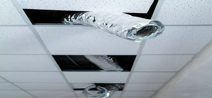 Our Air Duct Pet Hair Removal Services in Danbury, CT