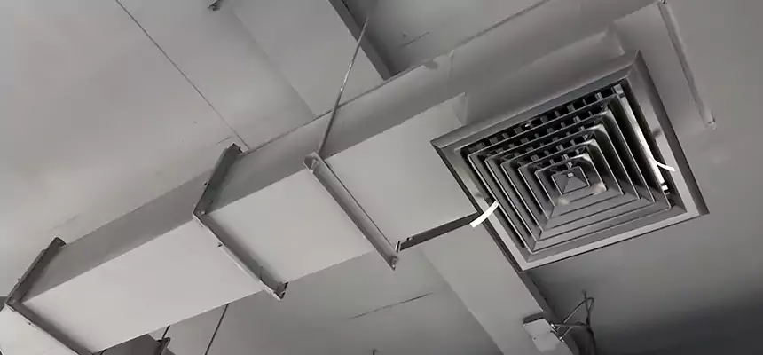 Our Rodent Droppings In Vents Services in Danbury, CT