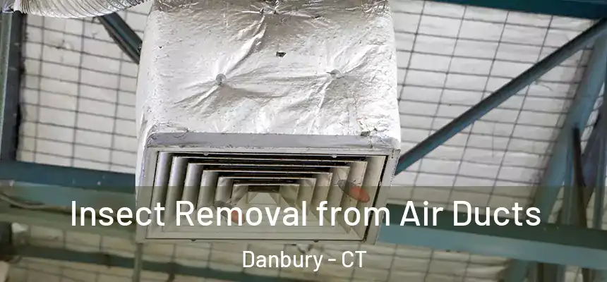 Insect Removal from Air Ducts Danbury - CT