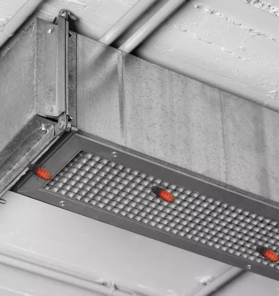 About Air Duct Cockroach Removal in Danbury, CT