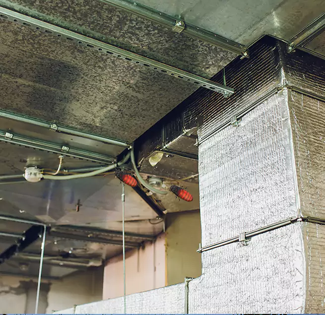 Why Homeowners & Businesses Trust Us in Danbury, CT?