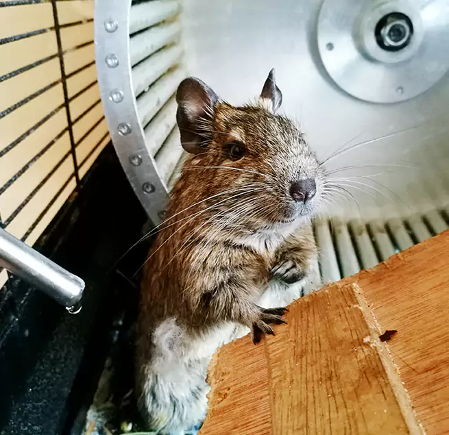 Why Homeowners & Businesses Trust Us Danbury, CT